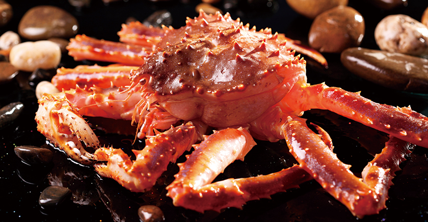 首鮮道客戶案例